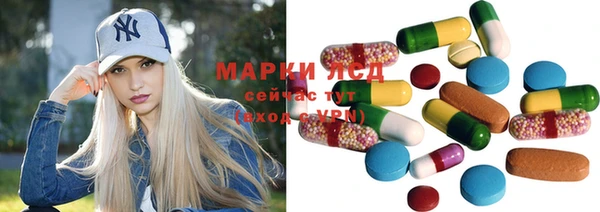 стаф Абаза