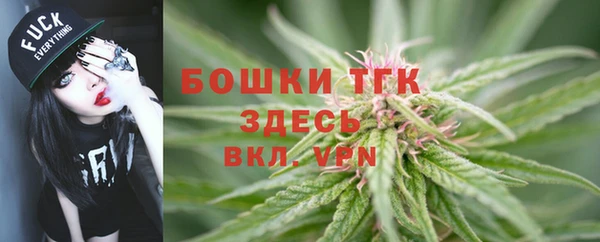 стаф Абаза