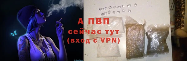 стаф Абаза